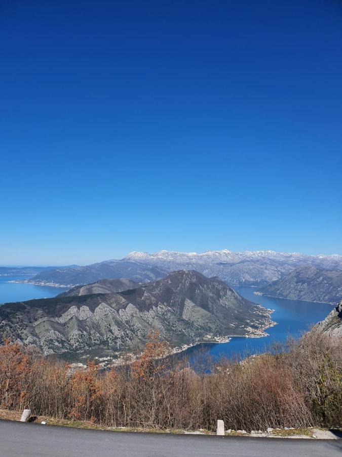 Villa Skyline Kotor Exterior foto